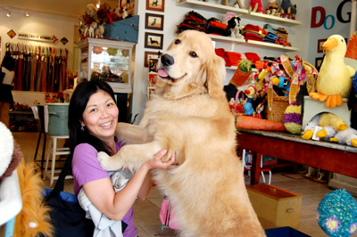 海外　犬グッズ