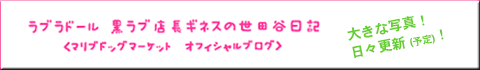 黒ラブ　世田谷　ブログ