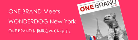 ワンブランド　雑誌掲載