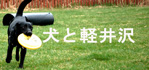 犬と軽井沢
