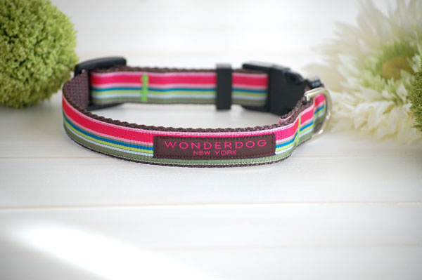 【WONDERDOG New York】 MERCER 小型犬用首輪