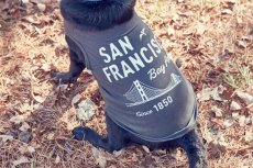 画像3: 【 California Vintage 】犬服 タンクトップ San Francisco (3)
