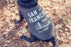 画像3: 【 大型犬専用　大型犬サイズの犬服 】犬服 タンクトップ San Francisco 大型犬用 (3)