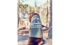 画像5: 【 大型犬専用　大型犬サイズの犬服 】犬服 タンクトップ Yosemite 大型犬用 (5)
