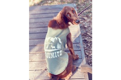 画像3: 【 California Vintage 】犬服 タンクトップ Yosemite