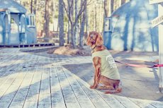 画像3: 【 大型犬専用　大型犬サイズの犬服 】犬服 タンクトップ Yosemite 大型犬用 (3)