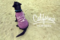 画像9: 【 California Vintage 】犬服 タンクトップ Malibu (9)