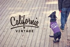 画像4: 【 California Vintage 】犬服 タンクトップ Malibu (4)