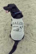 画像3: 【 California Vintage 】犬服 タンクトップ Malibu (3)