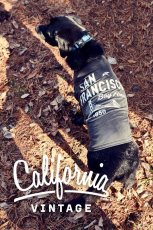 画像5: 【 California Vintage 】犬服 タンクトップ San Francisco (5)