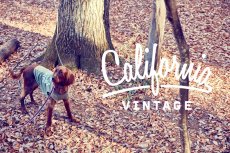 画像2: 【 California Vintage 】犬服 タンクトップ Yosemite (2)