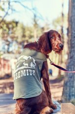 画像5: 【 California Vintage 】犬服 タンクトップ Yosemite (5)