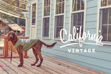 画像11: 【 California Vintage 】犬服 タンクトップ Yosemite (11)