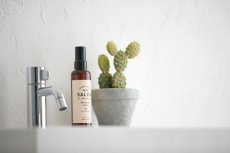 画像2: 【SALON FOR DOGS】 ブラッシングスプレー 全犬種用　 150ml　 (2)