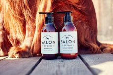 画像6: 【SALON FOR DOGS】 ミネラルセット 300ml  (6)