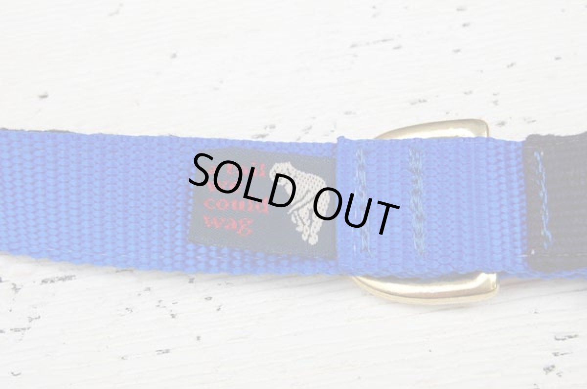 画像2: 【a tail we could wag】Foolish Fish 首輪 (2)