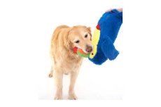 画像4: 【DOGGLES】Blue Toucan (4)