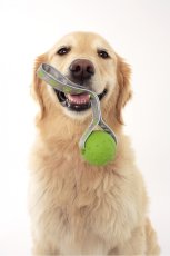 画像2: 【DOGGLES】Rope Ball - Green (2)