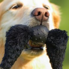 画像1: 【DOGGLES】Big Mustache (1)