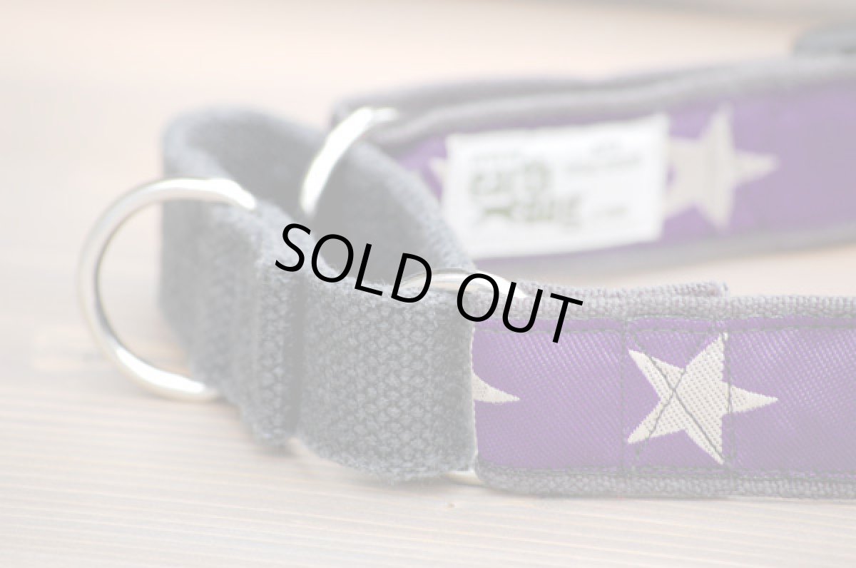 画像4: 【earth dog】 アースドッグ マーチンゲールカラー  Kody４ (4)