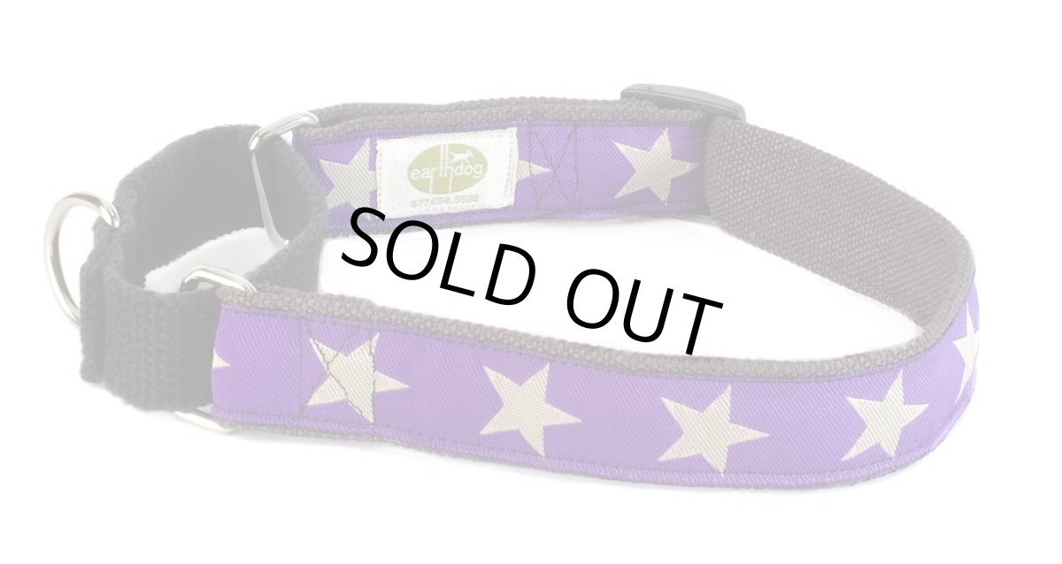 画像2: 【earth dog】 アースドッグ マーチンゲールカラー  Kody４ (2)