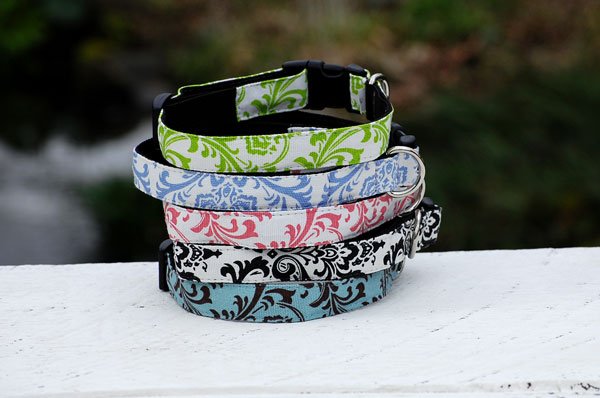 首輪・ハーネス・リード max bone Isabel Collar S ハーネス Grace – ciiron tokyo