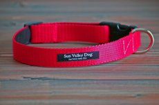 画像1: 【Sun　Valley】 New ウェブカラー首輪　Red (1)