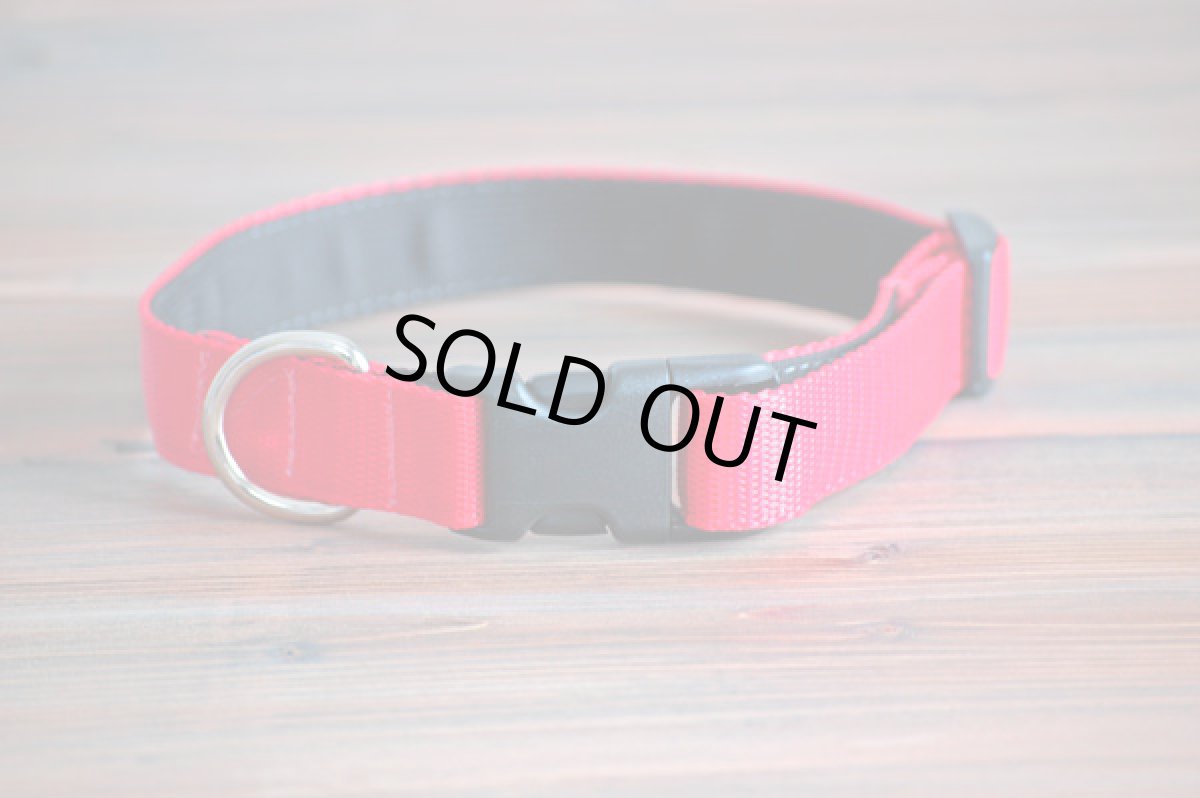 画像5: 【Sun　Valley】 New ウェブカラー首輪　Red (5)