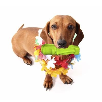 画像2: 【Petprojekt】 Tiki - ブラウン (スモール)