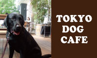 犬　ドッグカフェ　犬カフェ