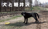 犬連れ　軽井沢