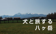 犬　旅　八ヶ岳