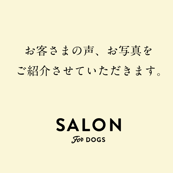 お客さまの声のページを公開いたしました