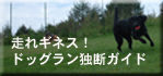 走れギネス ドッグラン情報