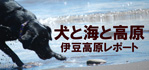 犬と海と高原