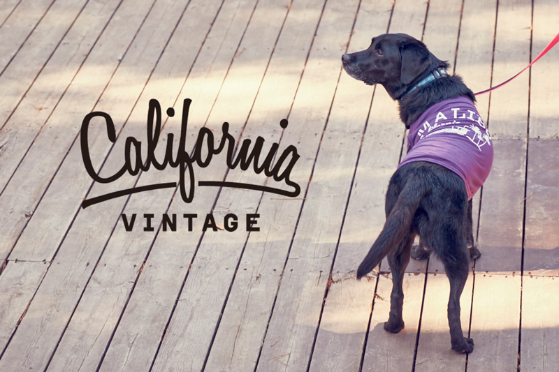 【 California Vintage 】犬服 タンクトップ Malibu