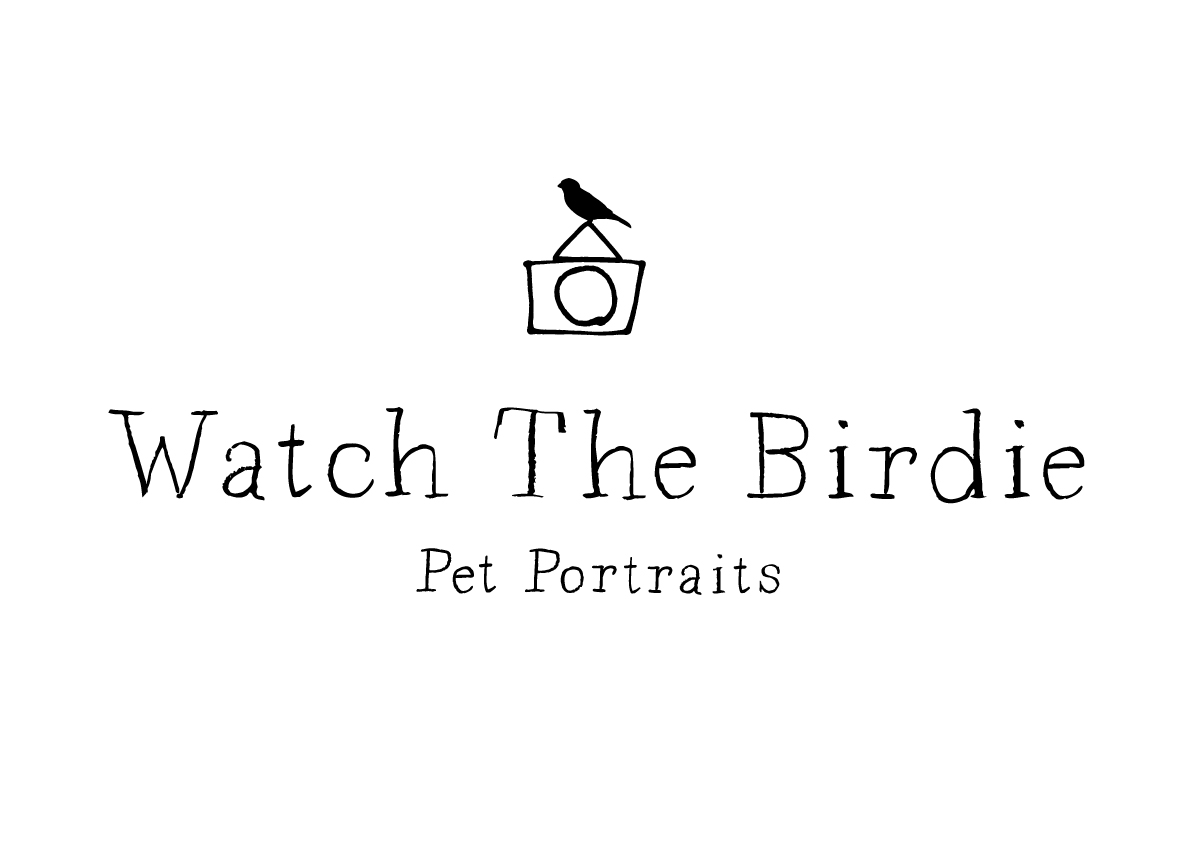 画像: 広告撮影のプロによる、ペットのポートレート撮影サービス「Watch The Birdie」、協賛。 12月20日(日)FCI東京インターナショナルドッグショー2015より先行予約受付開始。